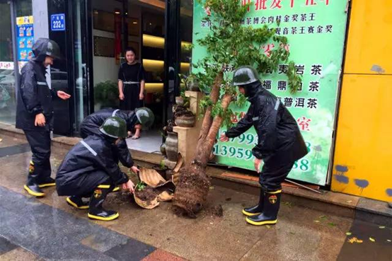 防抗双台风！台江干群连续作战守护家园侧记