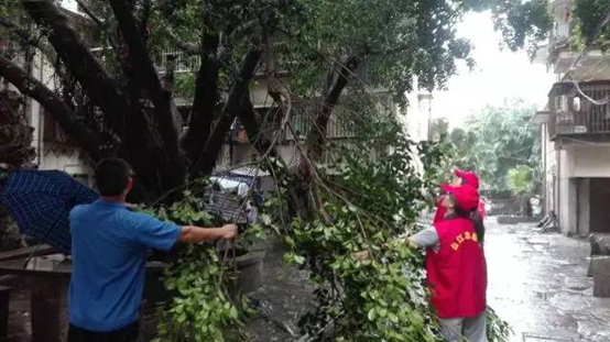 台风灾后志愿服务不停歇 为台江志愿者点赞