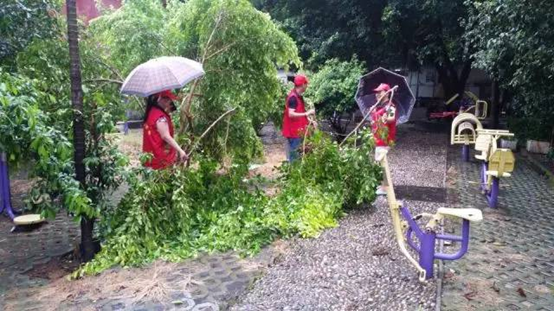 台风灾后志愿服务不停歇 为台江志愿者点赞