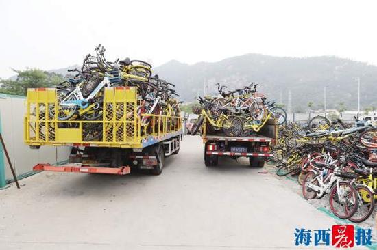 车辆不停地将共享单车运往收纳场所。记者 陈理杰 摄