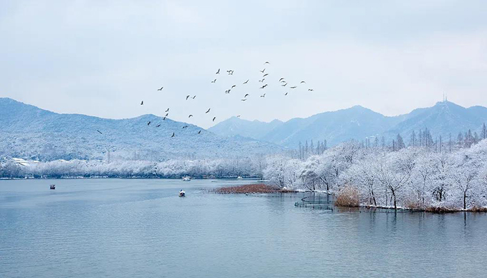 【网络中国节•小雪】今日小雪