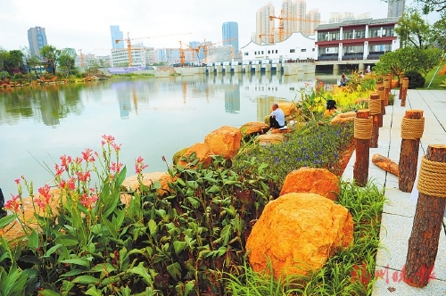 光明港公园景观升级　听潮漫步更惬意