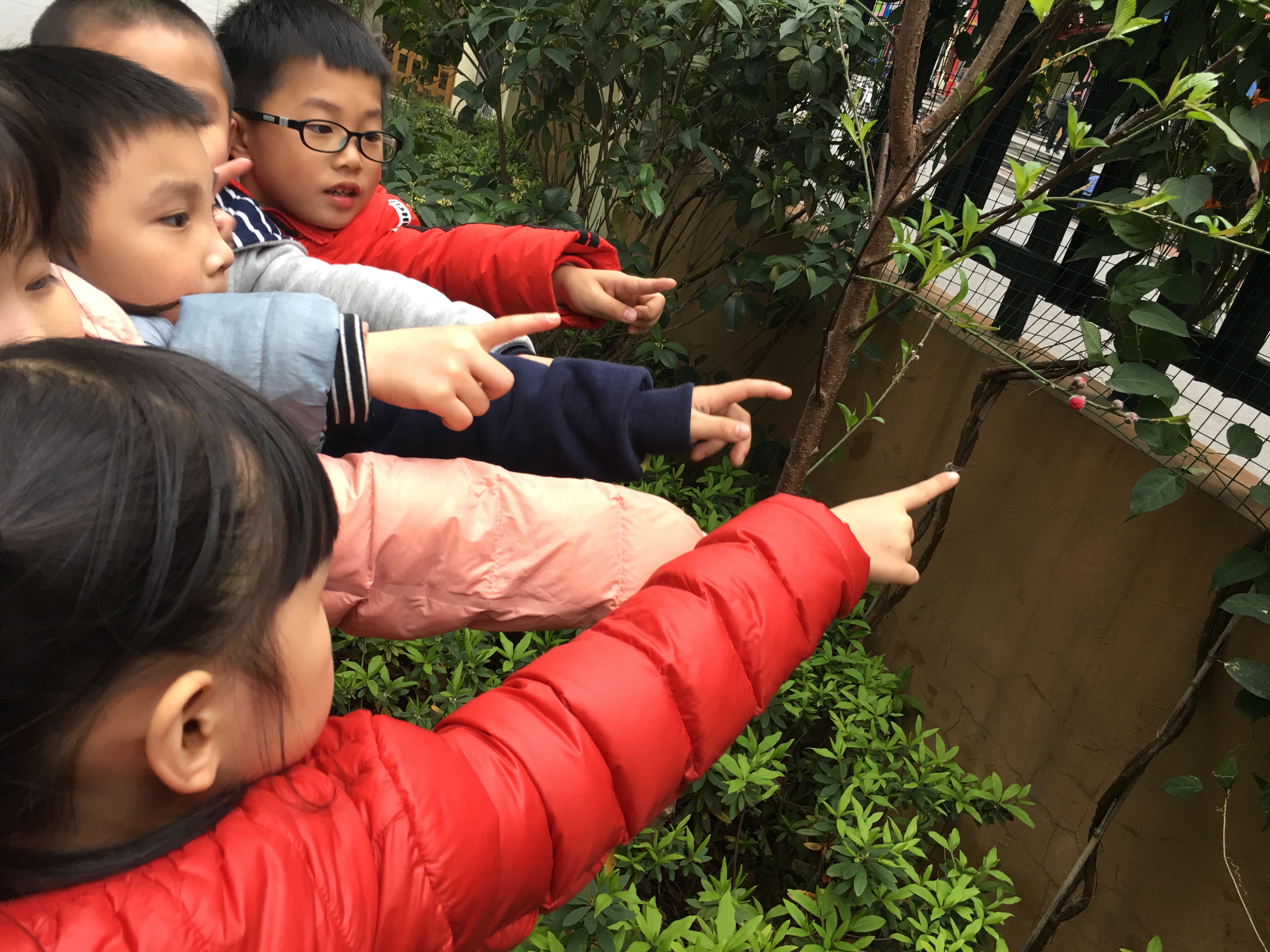 台江区举办植树节系列活动 为城市增绿添彩