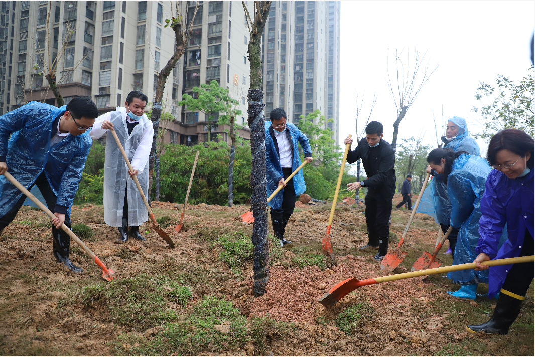 台江：防疫护绿两不误 植树添绿正当时